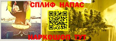 сатива Конаково