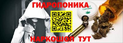 сатива Конаково