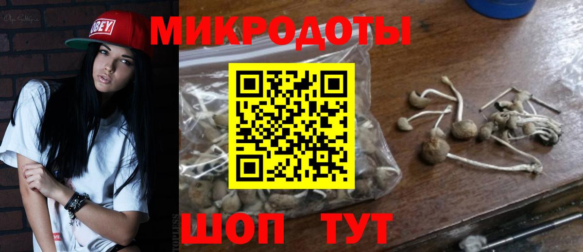Шарыпово  Псилоцибиновые грибы мицелий  Галлюциногенные грибы Magic Shrooms  Вход с VPN 